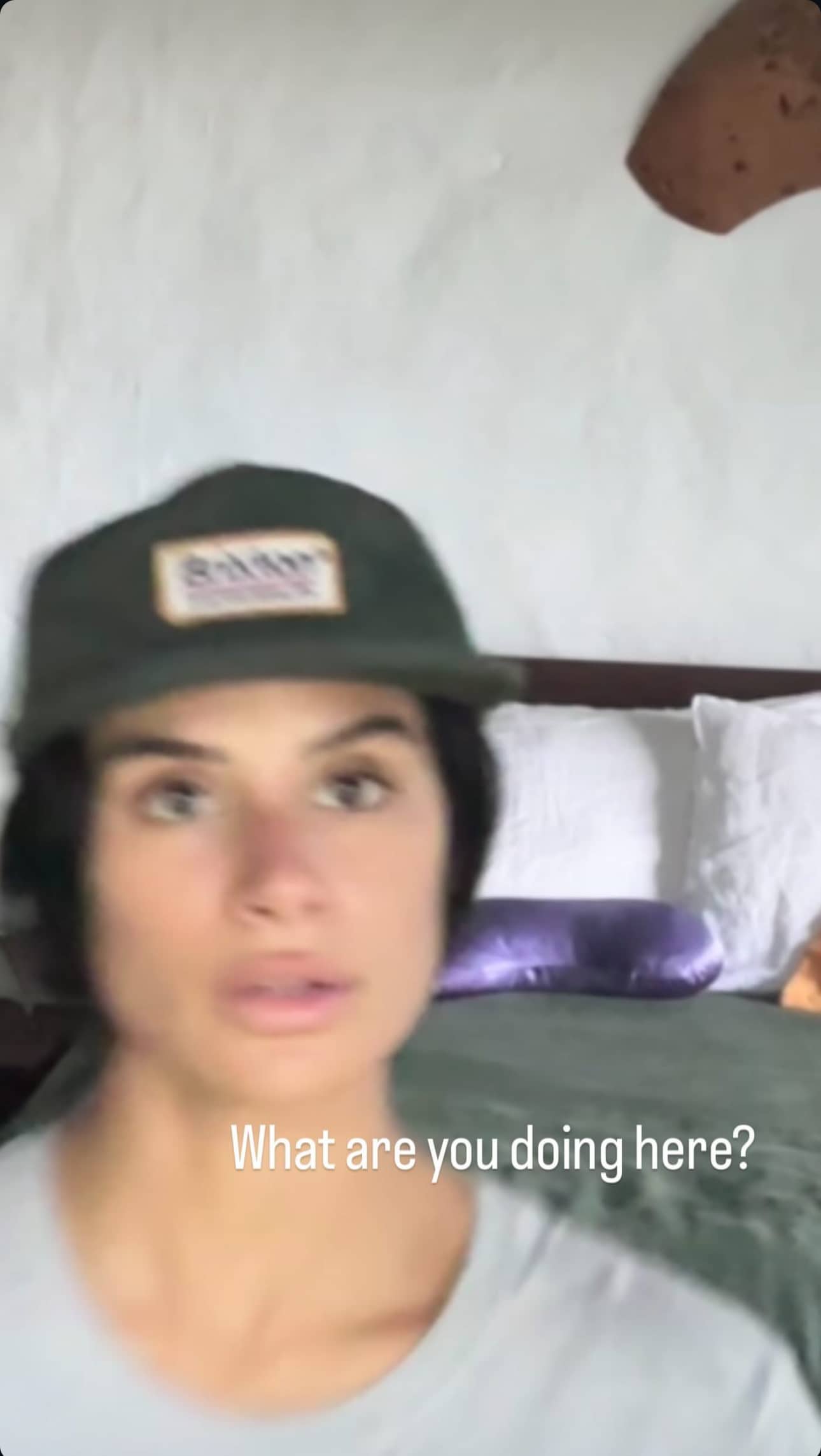 0234.jpeg 0234.jpeg